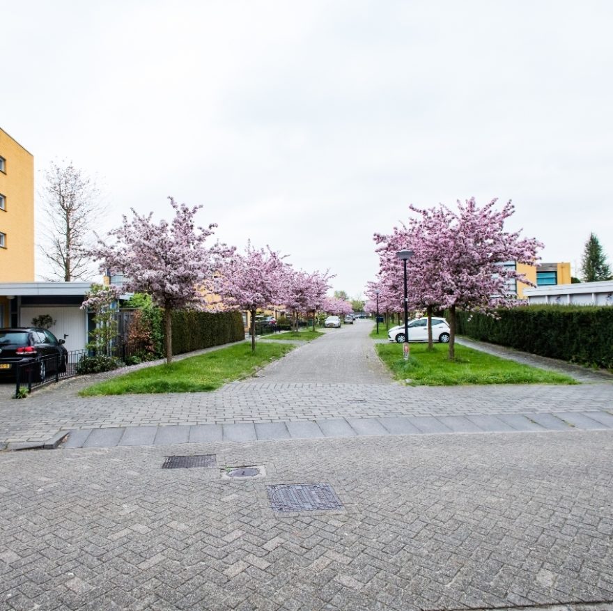 Go Regenboogbuurt Almere 15