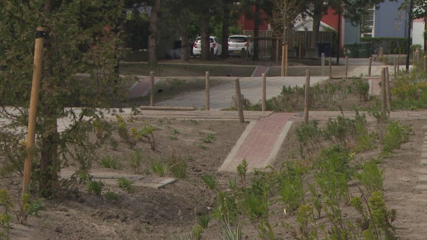 Foto proeftuin reportage