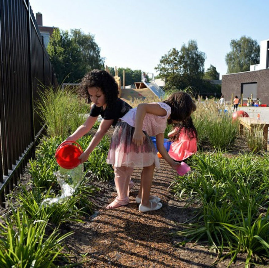 Groen Schoolplein Spectrum Almere