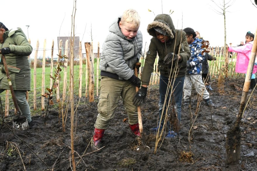 Zelfbeheer Regenboogbuurt Almere